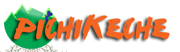 PICHIKECHE Mobile Retina Logo